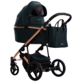 loren_stella_02_g2.png