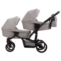 B42_PRO_21_g1.png