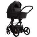 Monti_PRO_01_Stella_g2.png